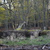 Herbstimpressionen 2014