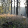 Herbstimpressionen 2014