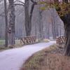 Herbstimpressionen 2014