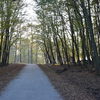 Herbstimpressionen 2014
