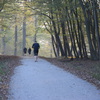 Herbstimpressionen 2014