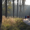 Herbstimpressionen 2014