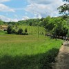 Pilgern am Frankenweg im Mai 2014