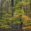 Herbstimpressionen 2014
